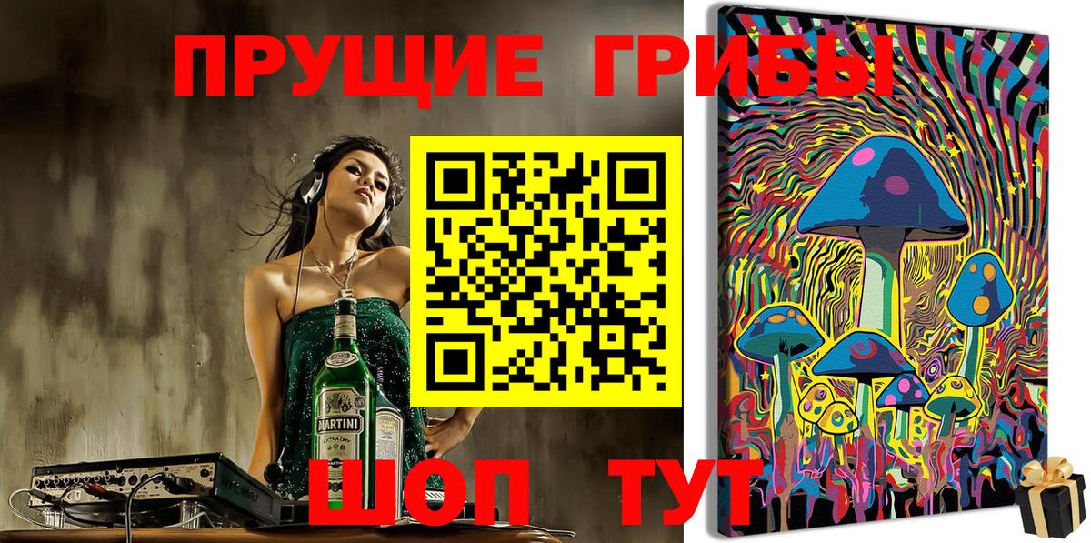 Псилоцибиновые грибы GOLDEN TEACHER Кирово-Чепецк