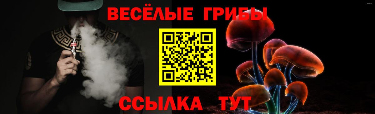Кирово-Чепецк  Галлюциногенные грибы Magic Shrooms  Вход с VPN 